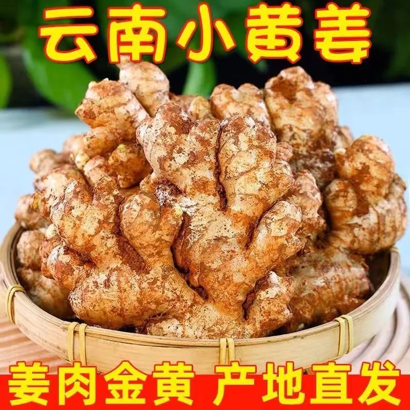 云南小黄姜浓郁辛辣够味现挖批发山地种植仔姜生姜产地直销新鲜姜