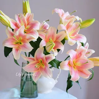 【一见钟情】精选一见钟情单瓣百合家居摆放插花云南鲜花优质鲜切花