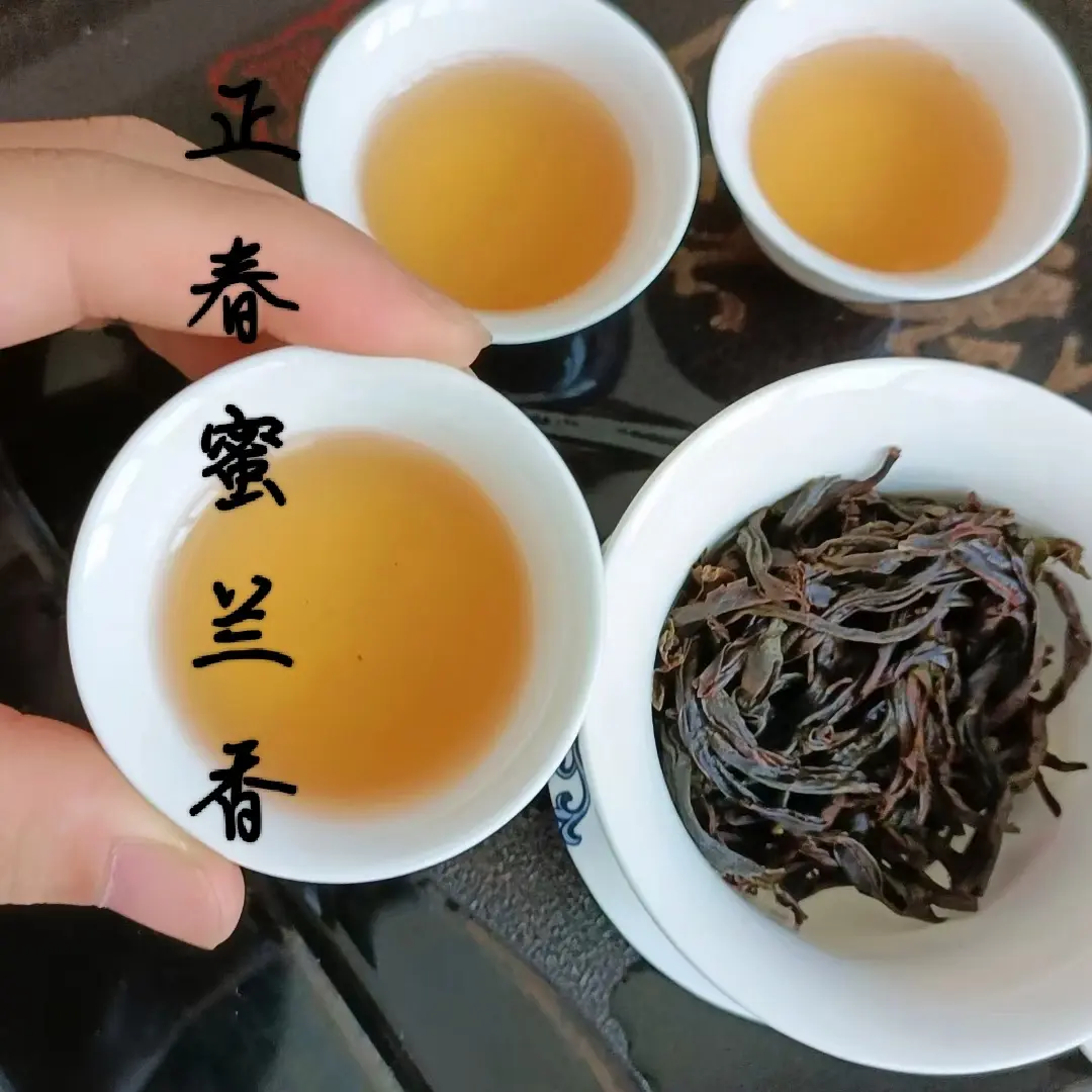 (试用装)高山春蜜兰香 春大乌叶 秋雪蜜兰香 功夫茶试喝装各1泡