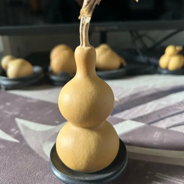 直播间改价专用请勿擅拍