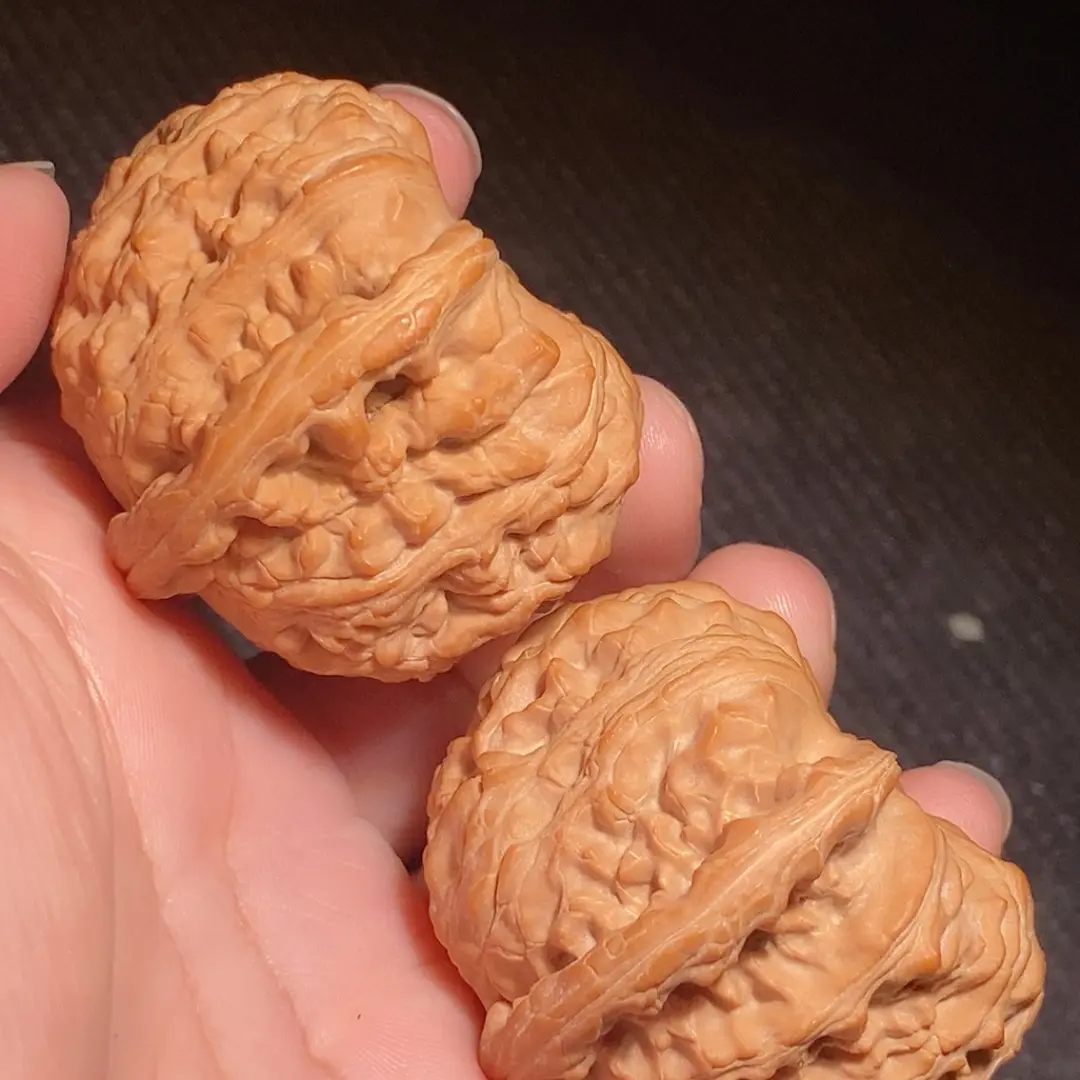 正版硬货老树《元宝大肚子•正三角白狮子》大尺寸肚45边43高37