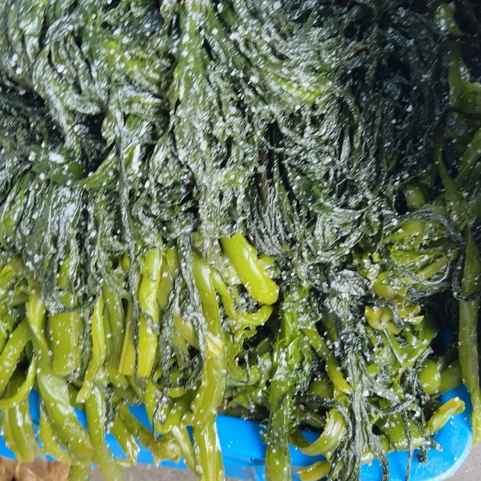 小嫩海带，大连特产，口感鲜嫩
