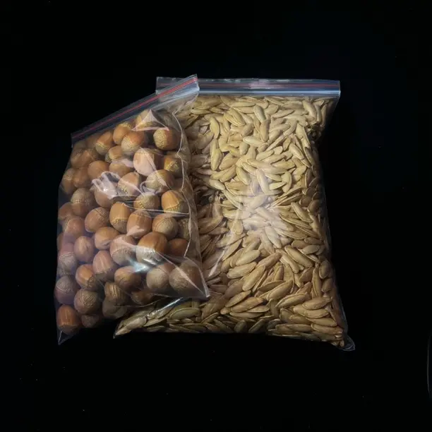 助农榛子美甲瓜子