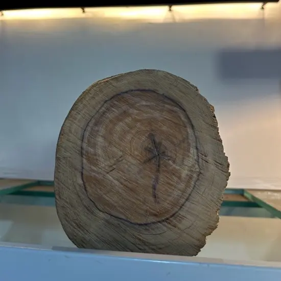 一物一拍。精品沉木