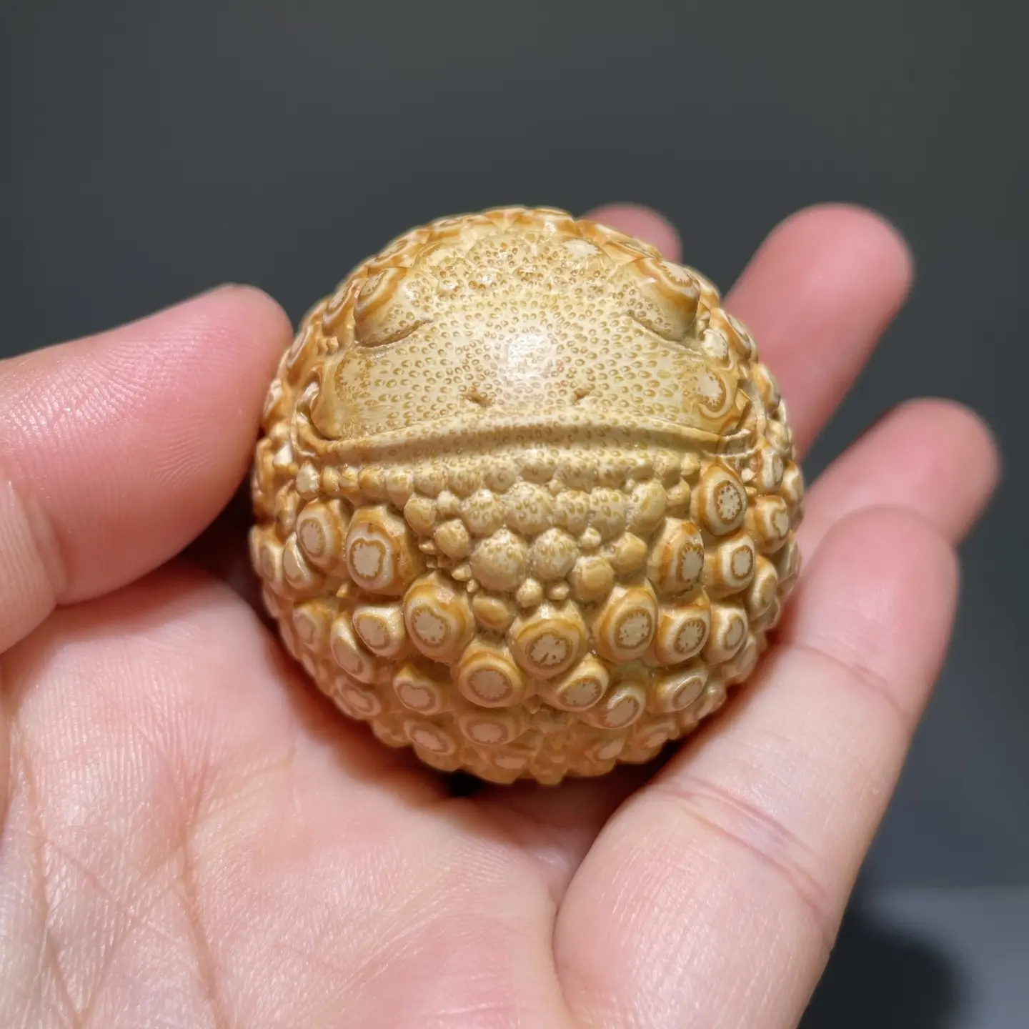 纯手工雕刻金蟾竹根雕手把件文玩