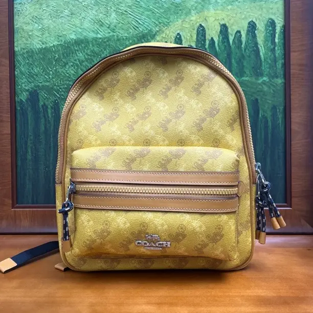 95新 COACH/蔻驰 双肩包/26*10*30/A024