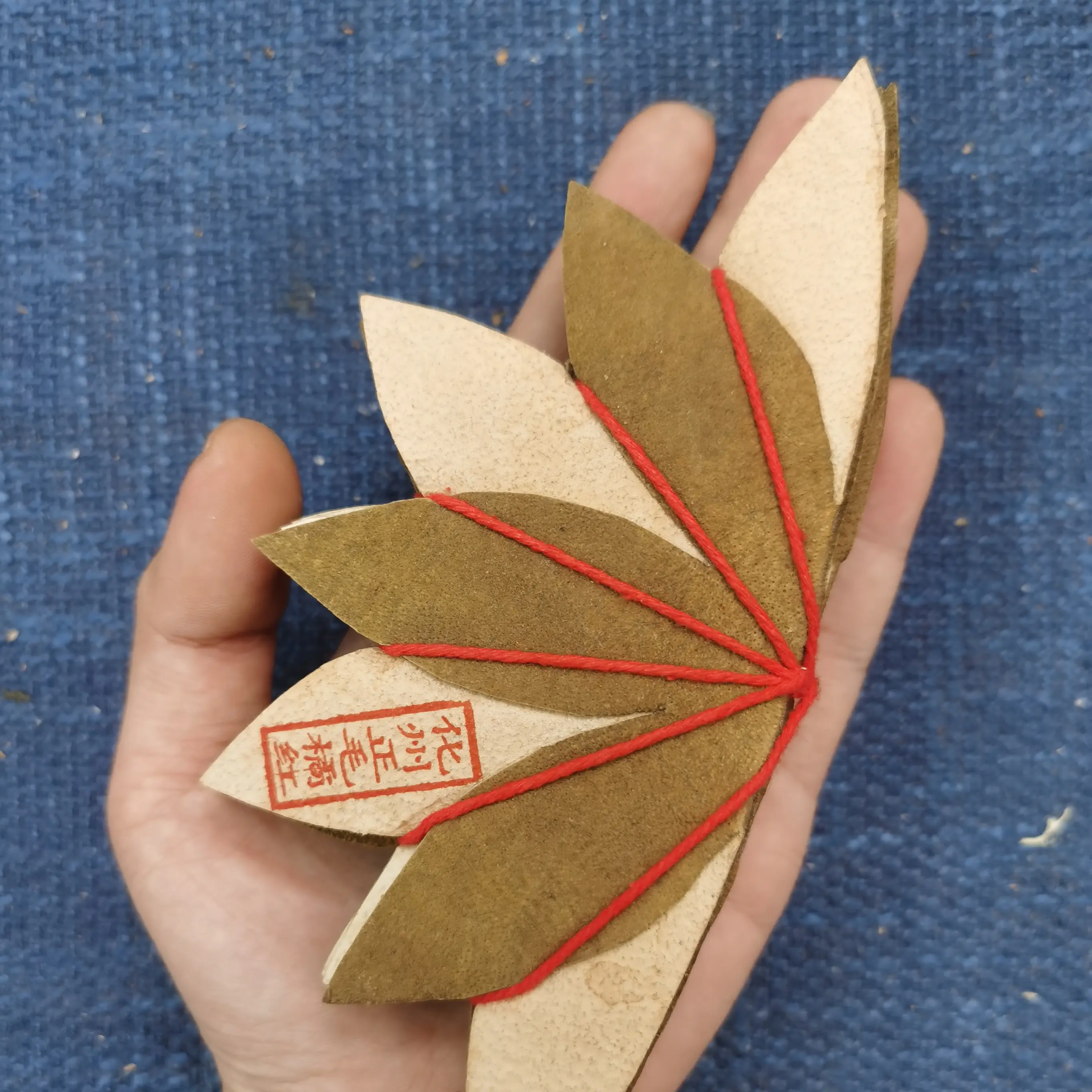 正宗化橘红七爪品鉴款