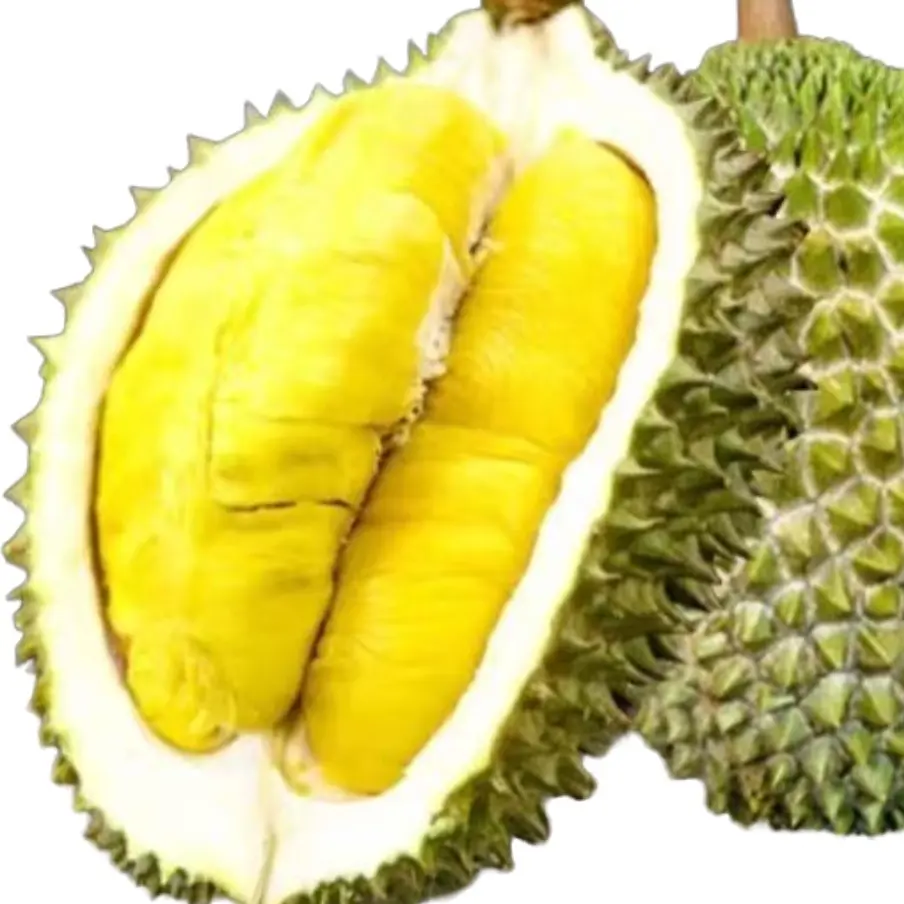 马来西亚猫山王液氮果2-3斤