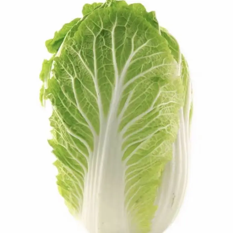 霜后黄心大白菜农家自种脆甜新鲜蔬菜适合炒吃腌酸菜