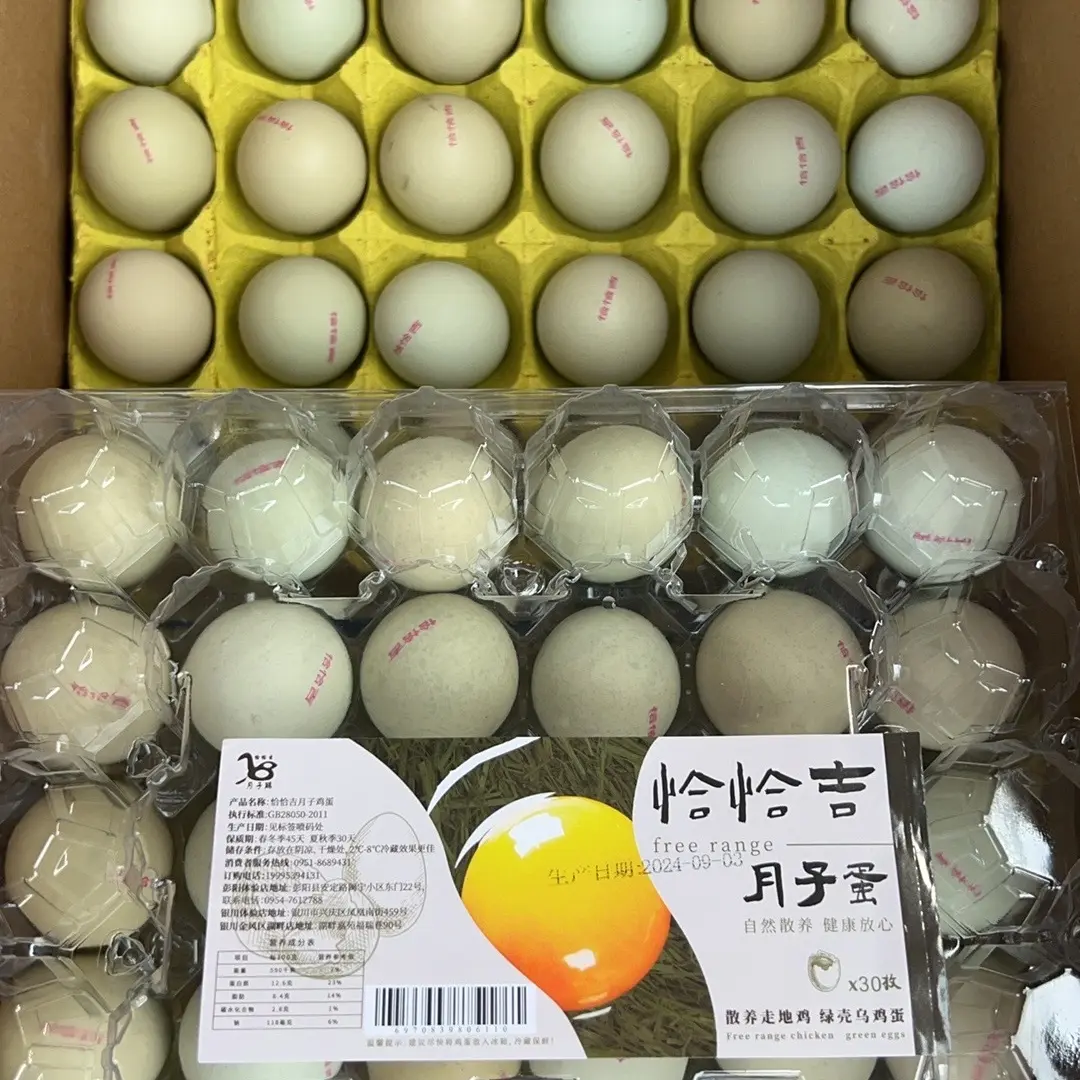 彭阳山窝乌鸡月子蛋