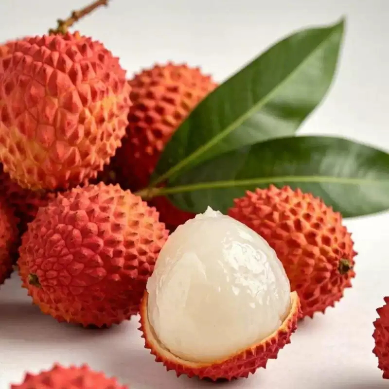 正宗桂味荔枝5斤当季新鲜水果现摘白糖妃子荔枝大果整箱冷链配送