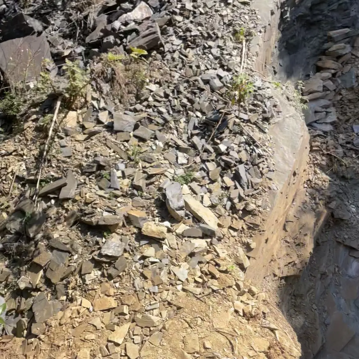 老坑龙尾砚直播大促