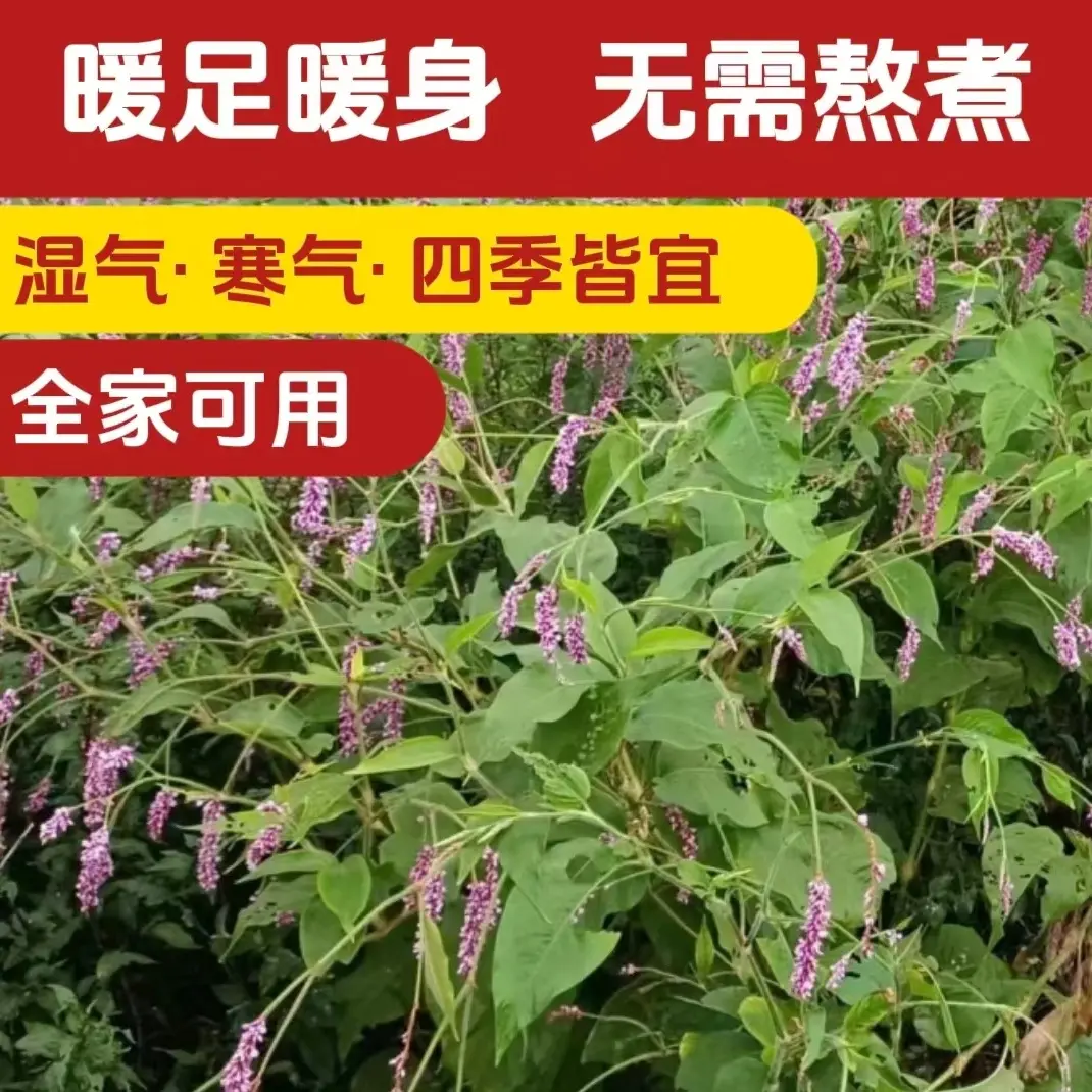 十包泡脚粉风湿患者的福音 祛除风湿 驱寒暖身 缓解疲劳 促进睡眠