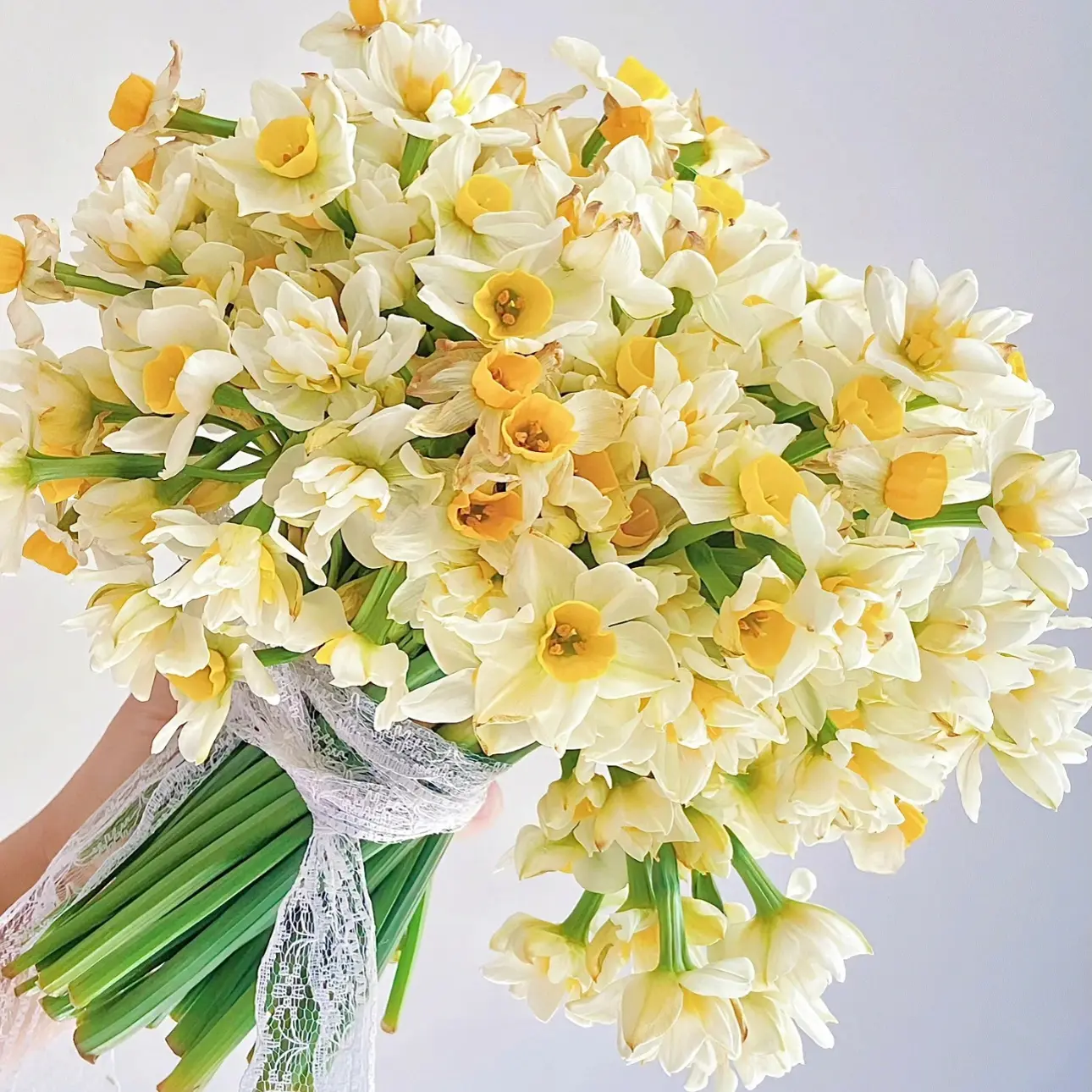 水仙花鲜切花重瓣浓香水养易活可用于家用办公装饰