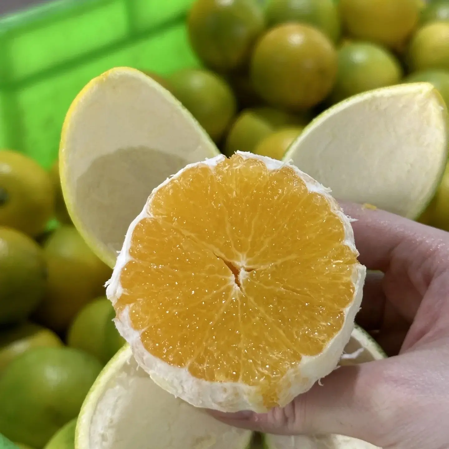 （小刘村长）云南哀牢山冰糖橙脆甜多汁