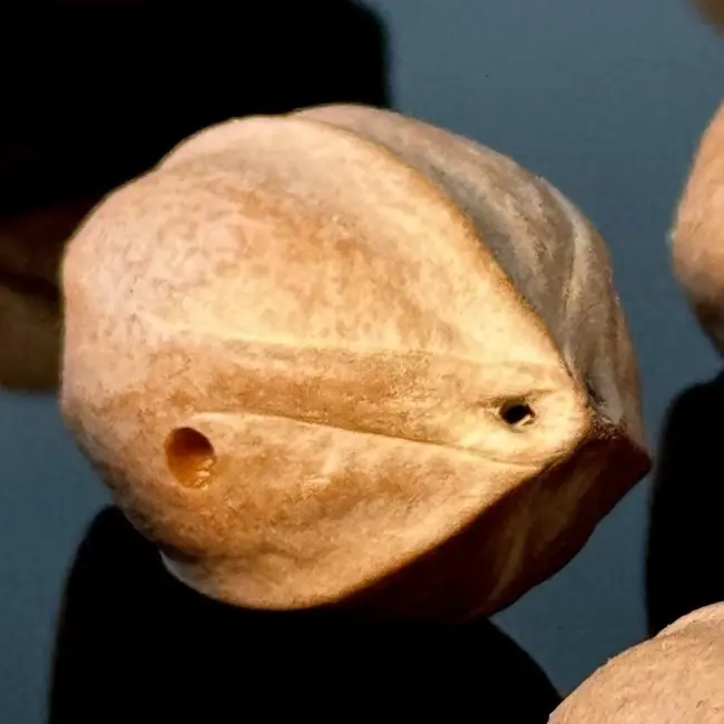 梅林铁核三通系列单子自选尺寸 