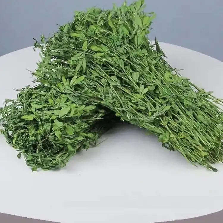 烘干紫花苜蓿草适合幼兔龙猫荷兰猪主粮磨牙牧草