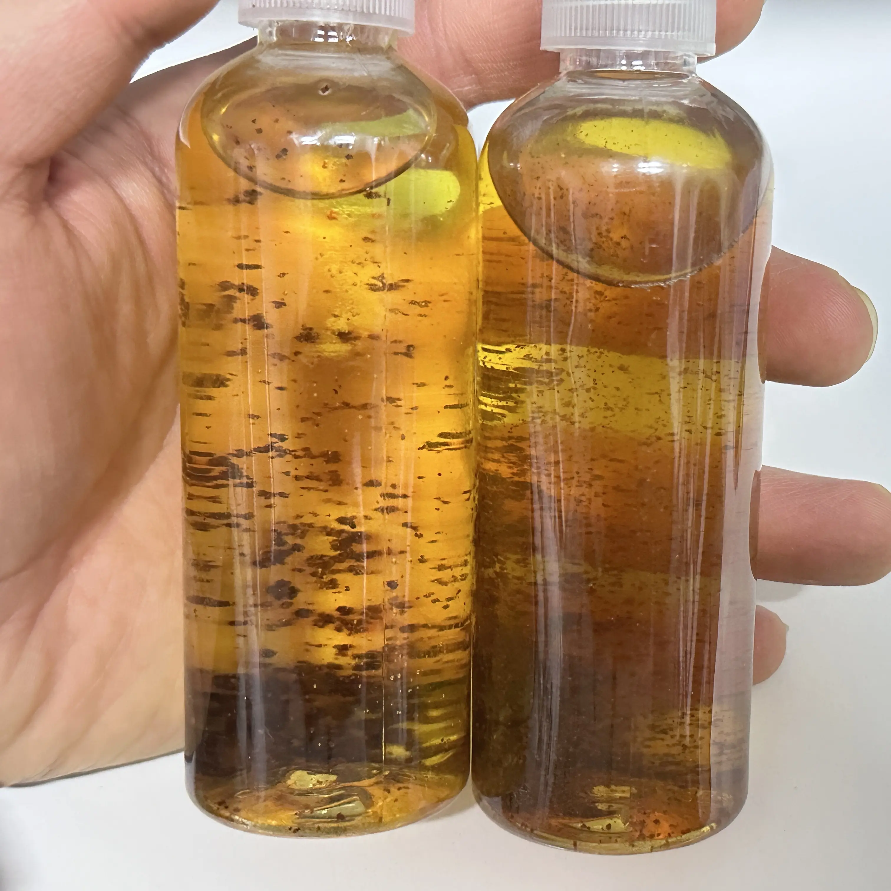 麝香酒 限新店福利 福利装钓鱼麝香酒 