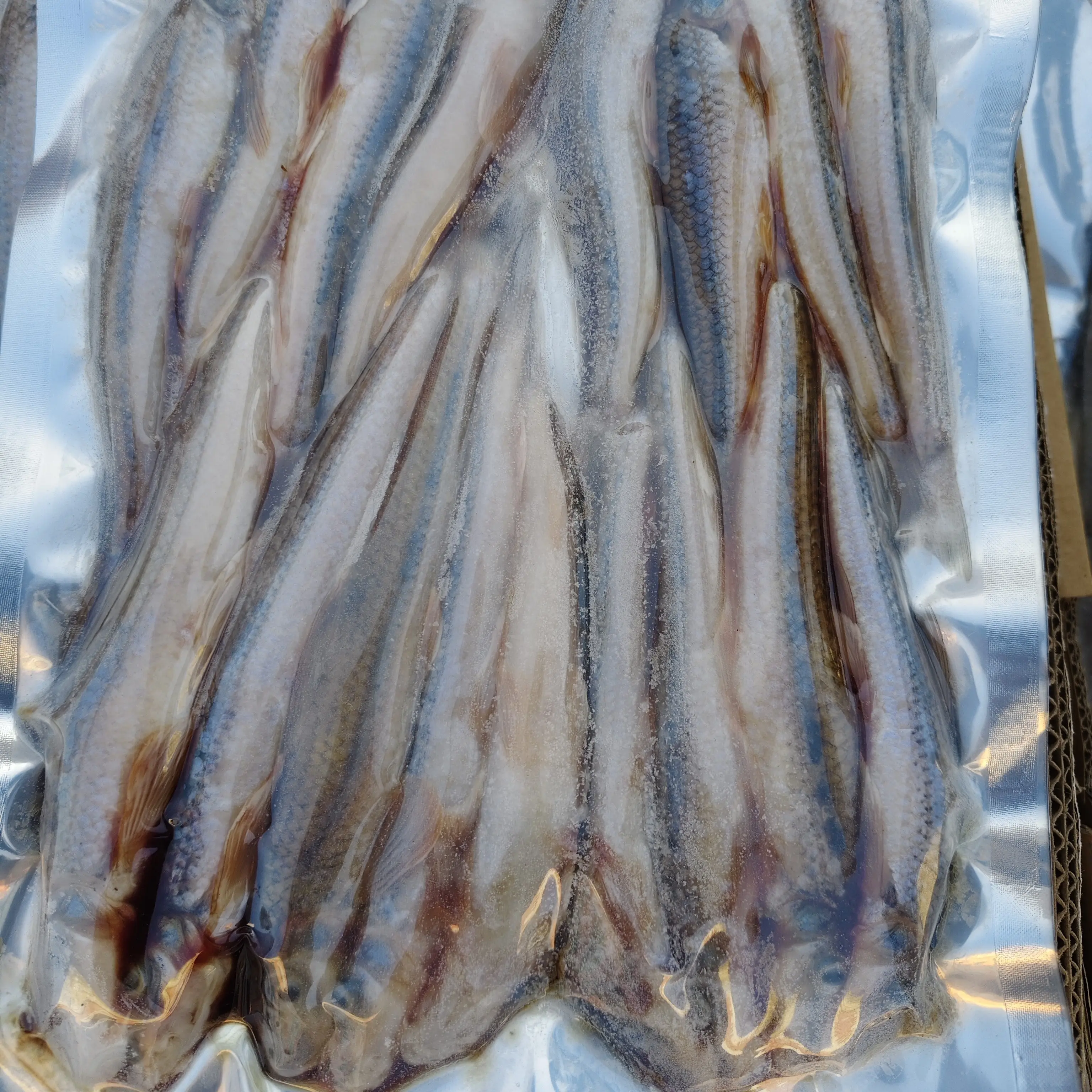 黑龙江野生船丁子鱼顺丰包邮