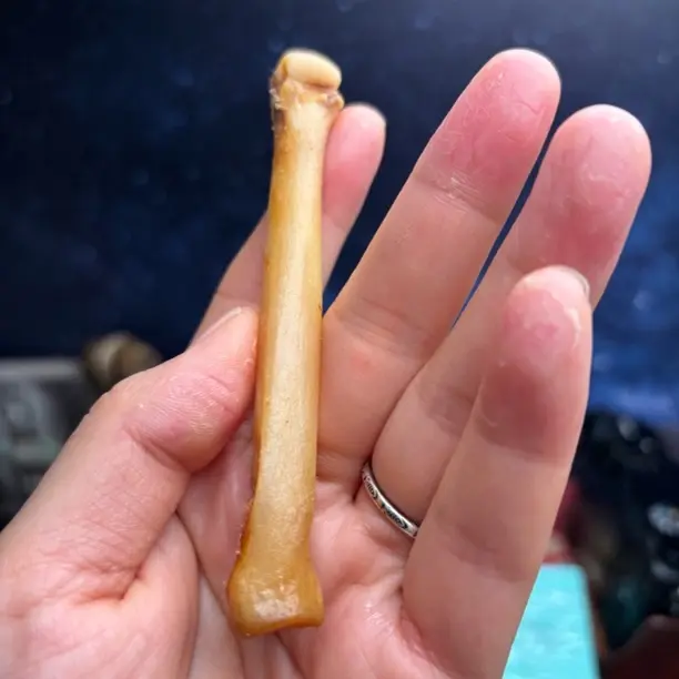 掌骨小把件，半抛光