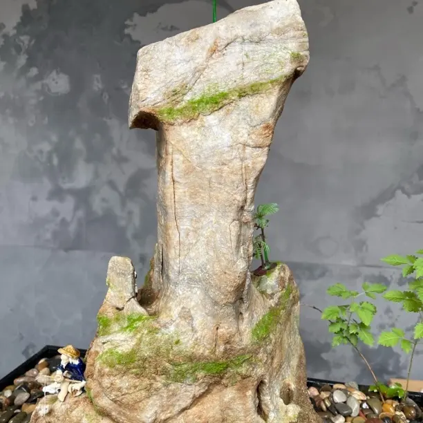 天然太行石附石盆景一物一拍