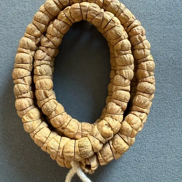 热振百香籽大肠长串