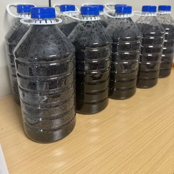 台州传统钓老米鲫鱼窝料