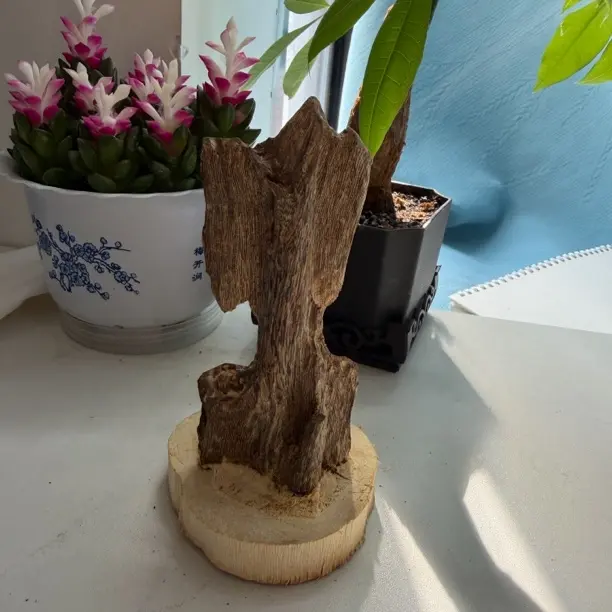 家具摆件奇楠陆河68g 淳化过