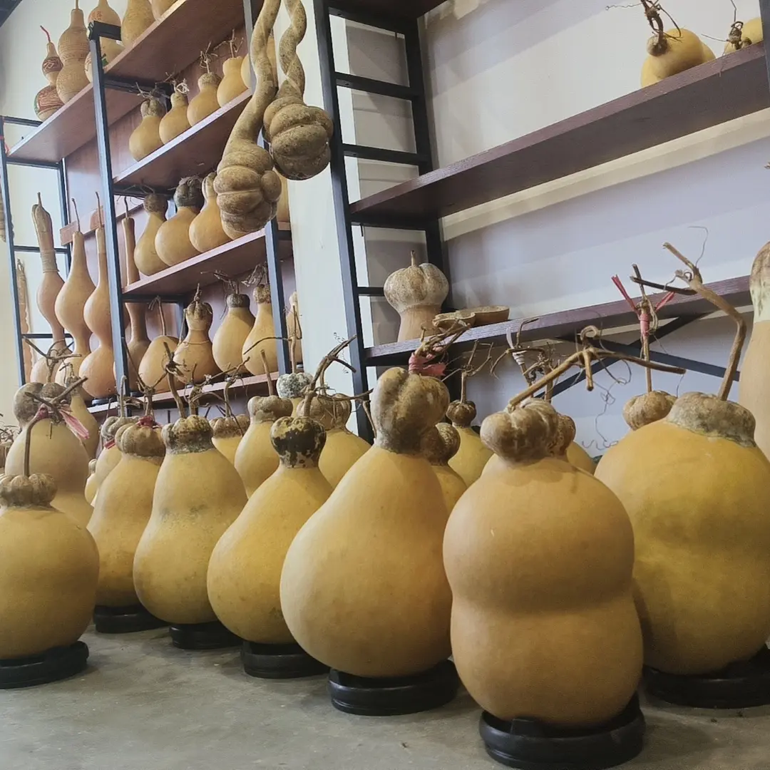 直播间大葫芦改价链接