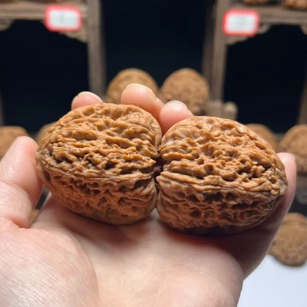 全品无药老树高炮瘤疤南疆石狮子头nj2508文玩核桃骨质超棒的核桃