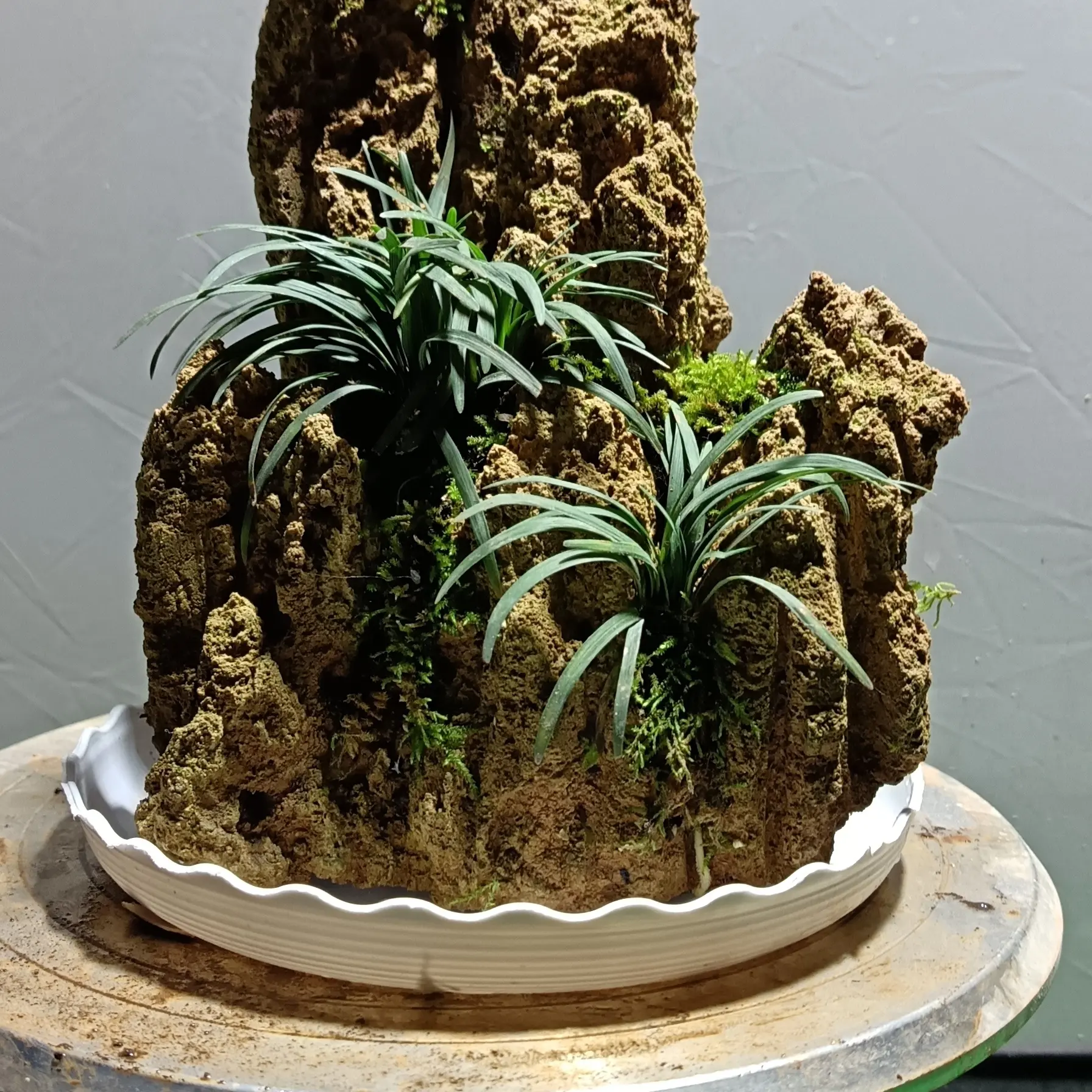 高35盆长48吸水石绿植盆景上水石假山盆景