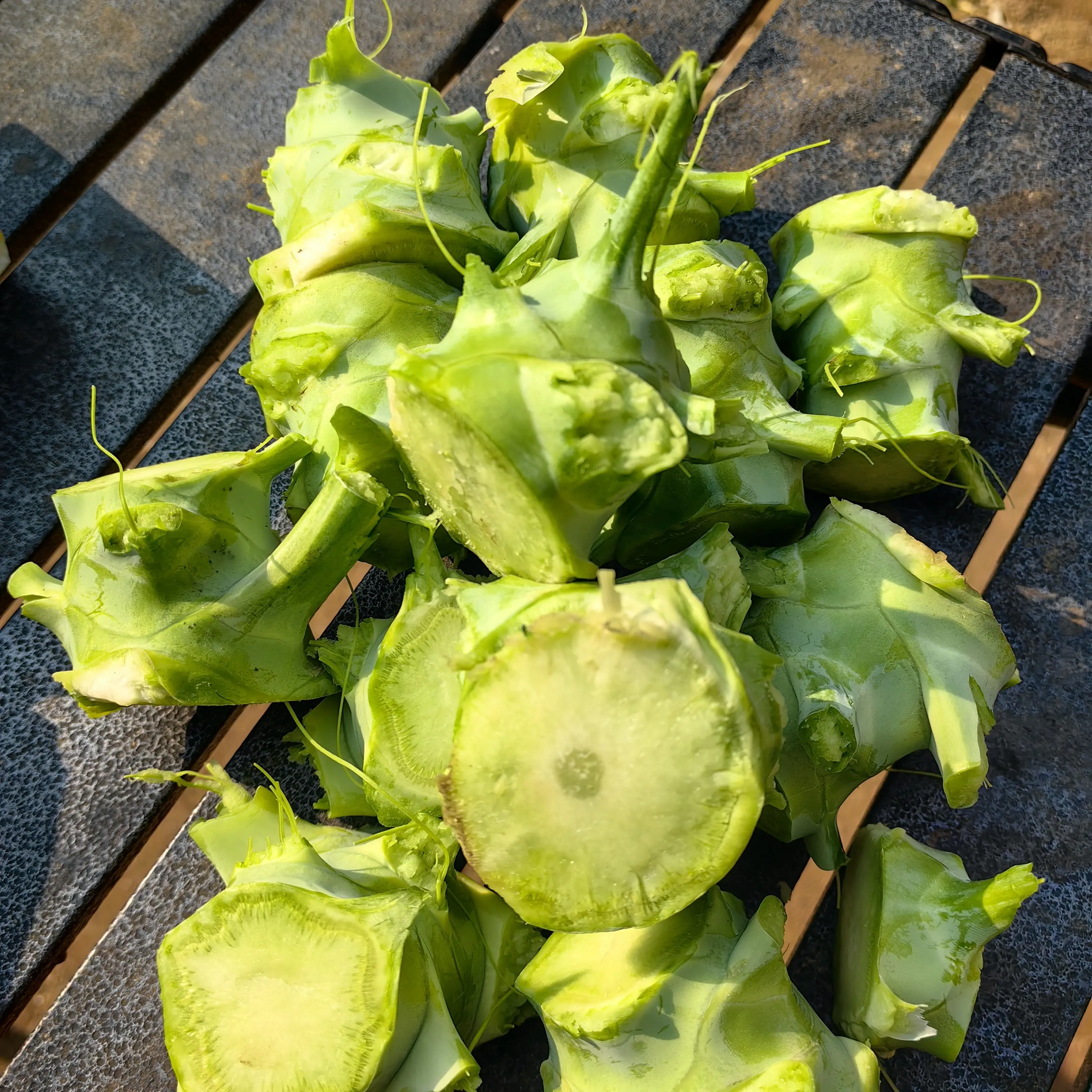 新鲜脆嫩西兰花根根根