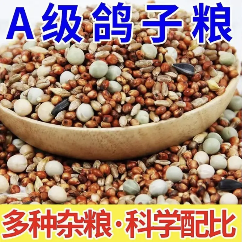 混合鸽子粮有玉米无玉米营养鸽子粮豌豆饲料成鸽幼鸽观赏