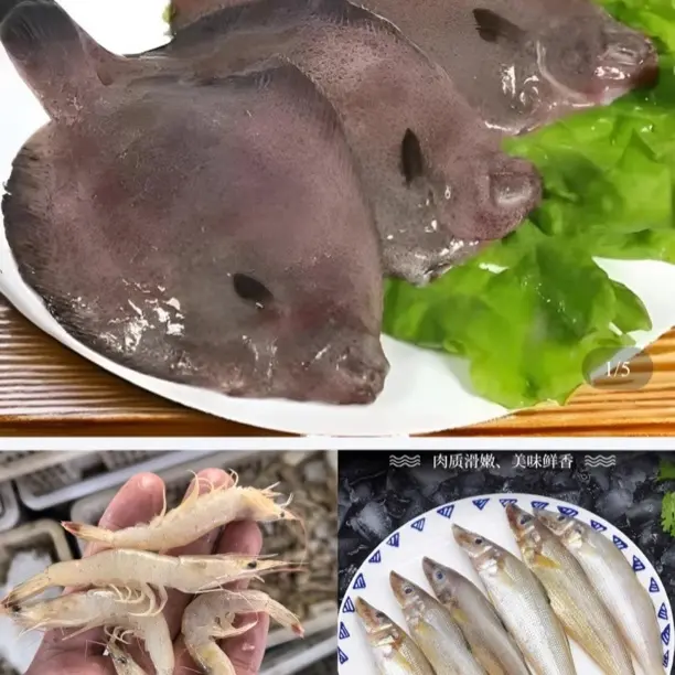 青岛本地野生偏口鱼海捕树叶鱼顺丰冷链发货新鲜直达