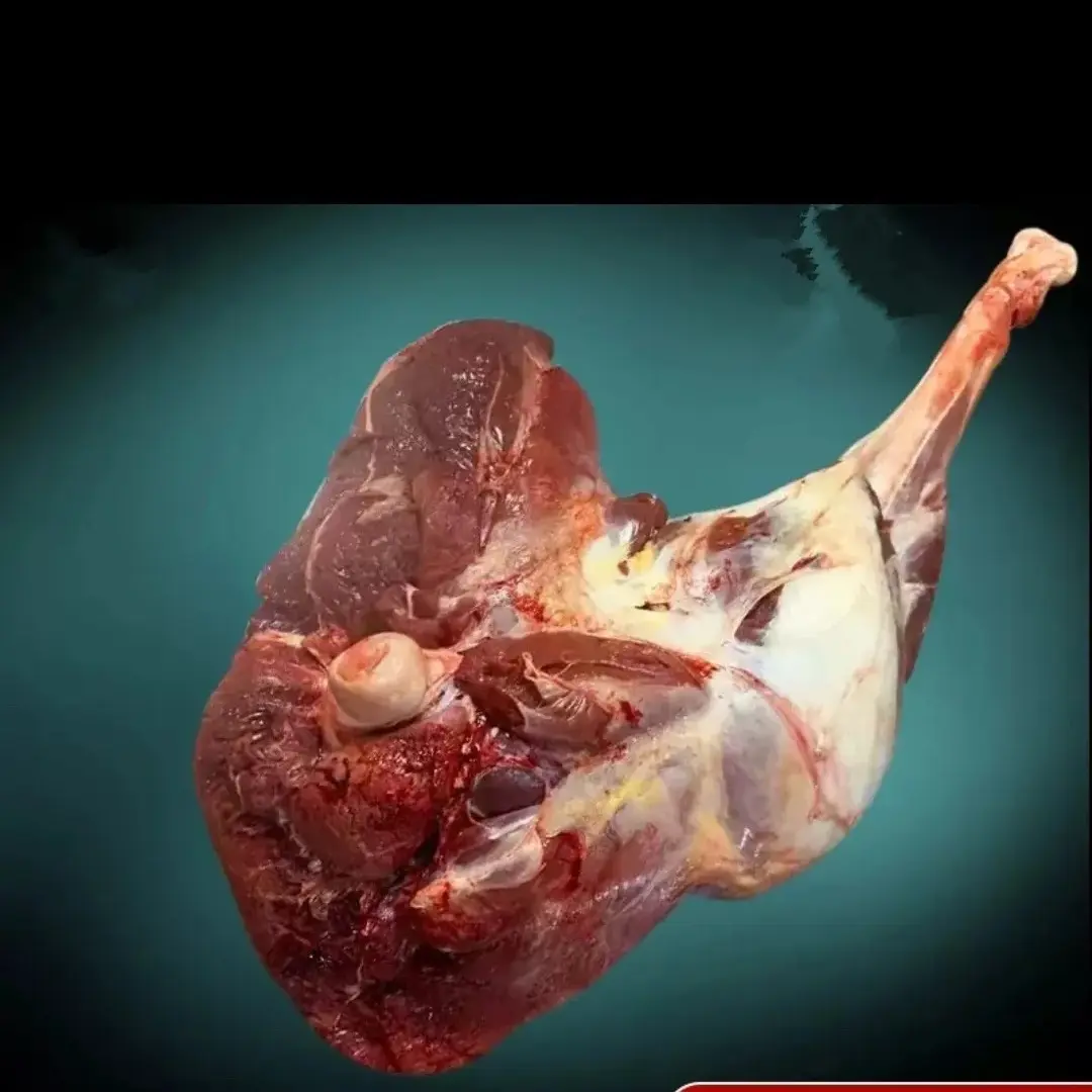 鸵鸟琵琶腿（适合各种吃法，爆炒鸵鸟肉，涮火锅）