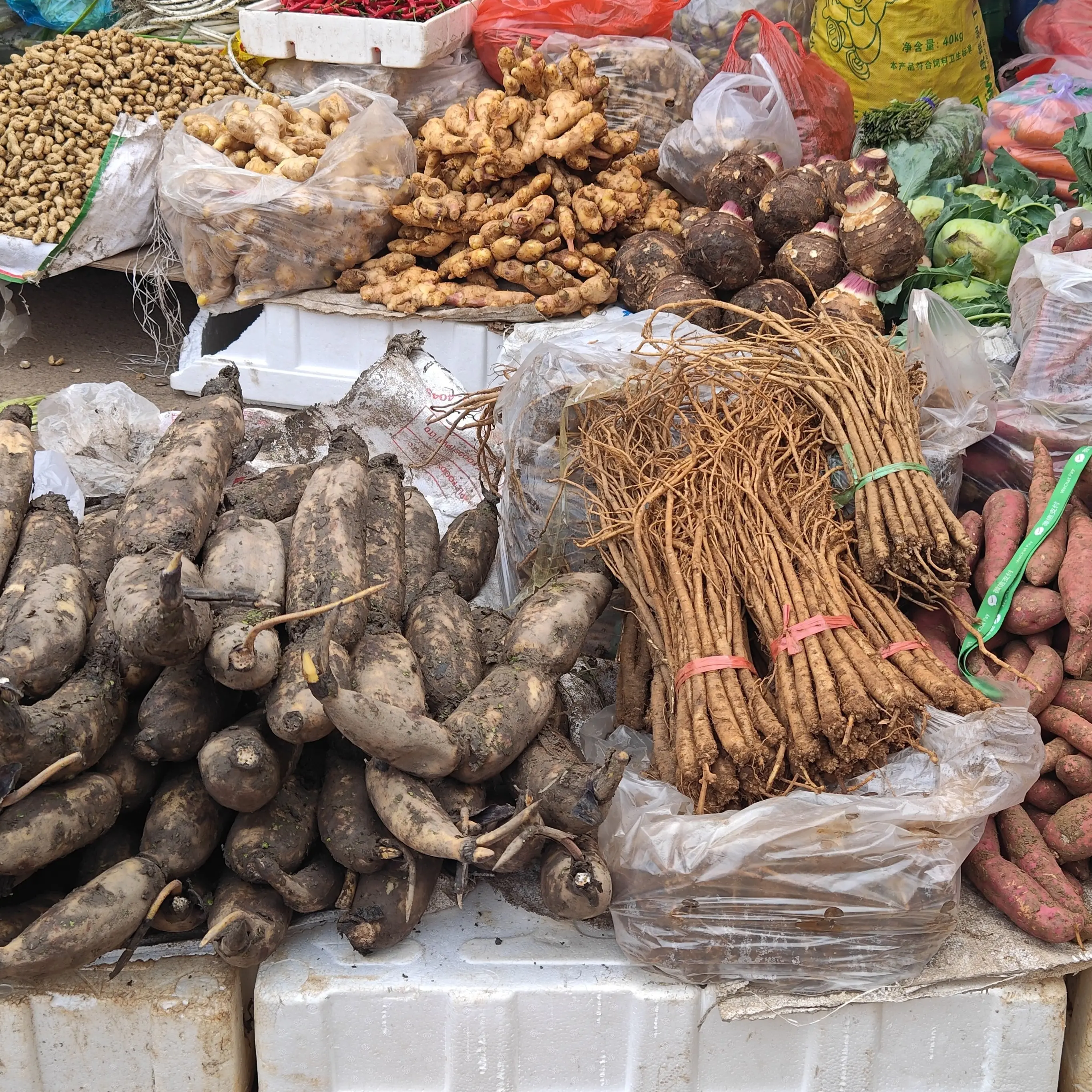 【果蔬类临时链接】-野生五指毛桃