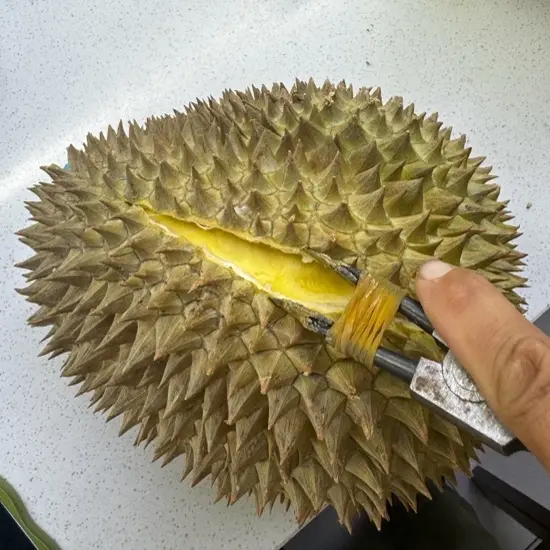 泰国金枕榴莲新鲜热带水果整个带壳鲜果皮薄核小软糯香甜7斤金枕泰国南部