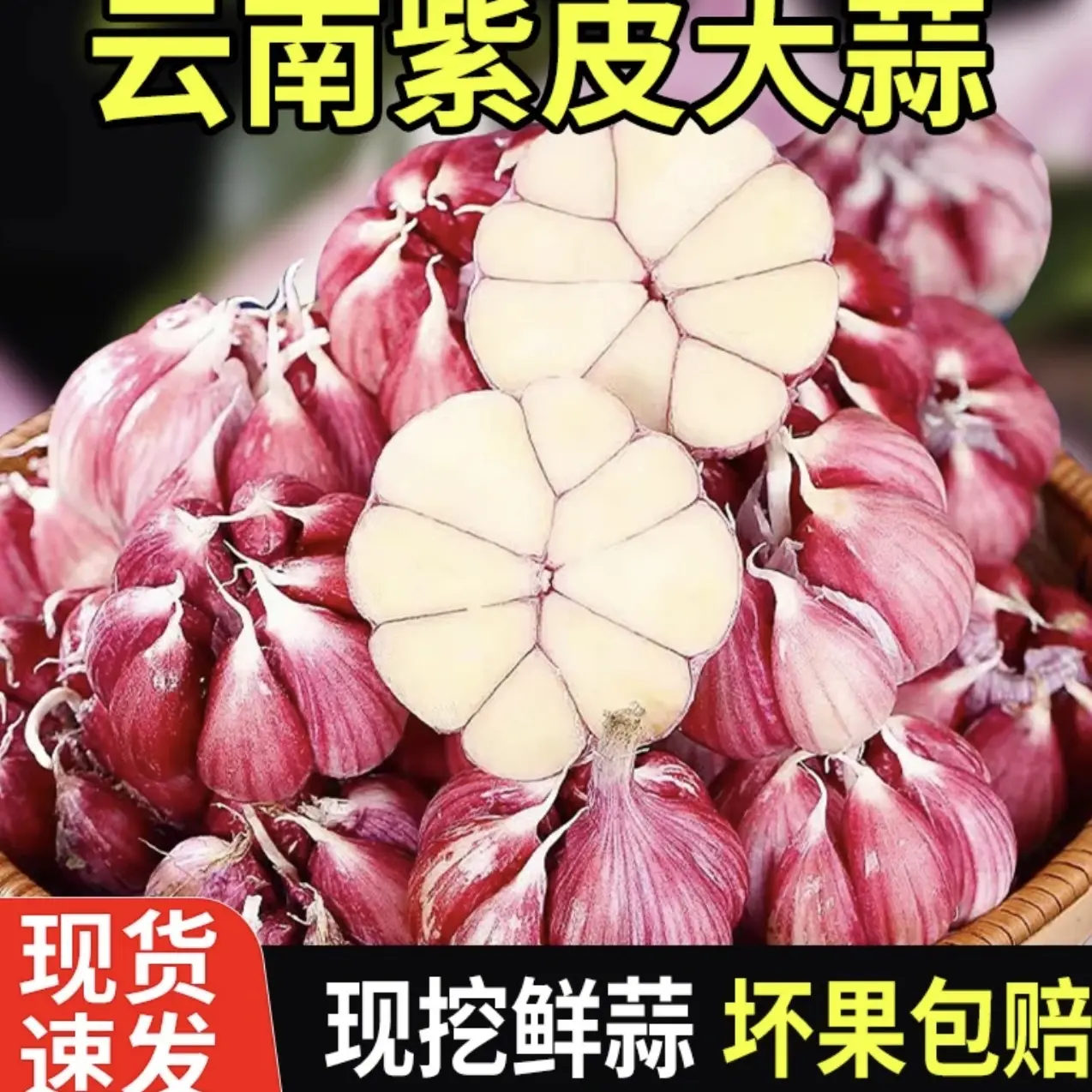 新鲜紫皮大蒜正宗云南紫皮大蒜湿蒜大果大新鲜现挖辛辣多瓣紫皮大