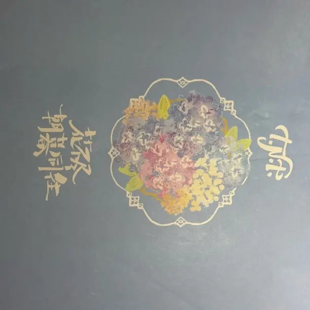 时代少年团大连冠军演唱会无卡全套