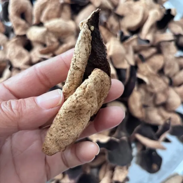 【正宗东甲】圈枝2016年干仓生晒二红断片陈皮陈化多年可泡茶出药香