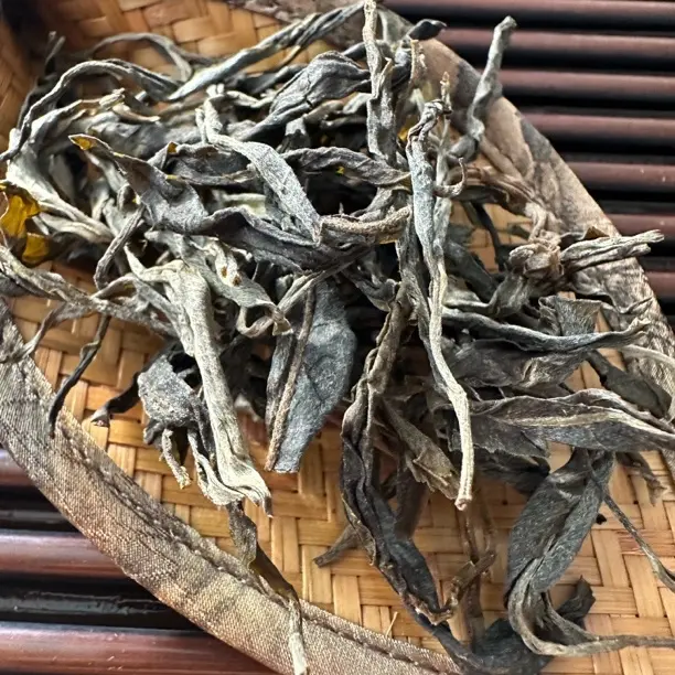 攸乐山古树｜攸乐山2025年头春古树茶生茶散茶