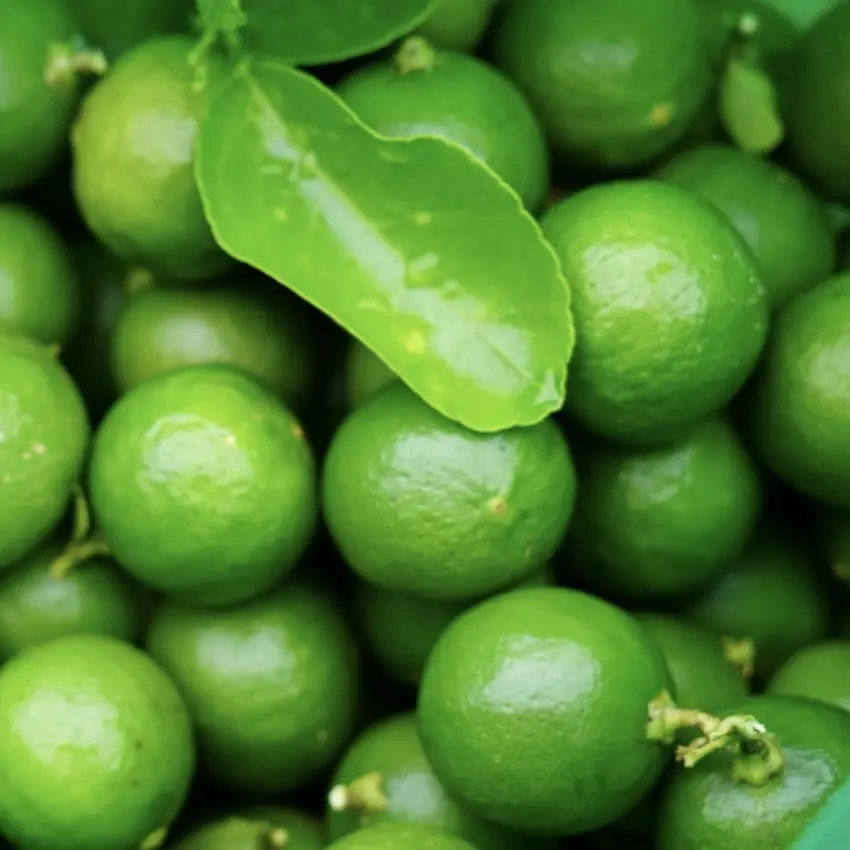 云南本地绿肉柠檬 清香浓郁