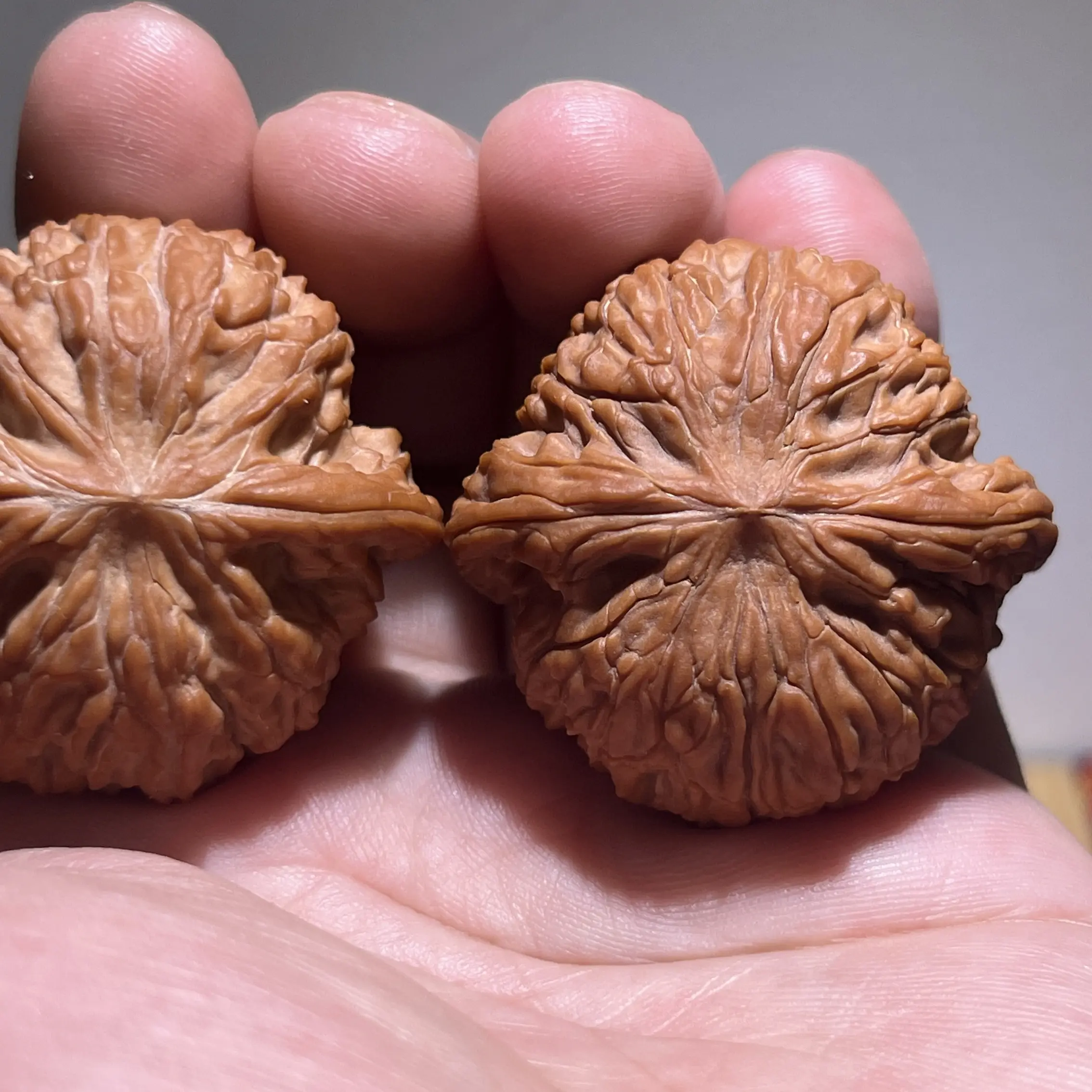 39红皮精配磨盘文玩核桃