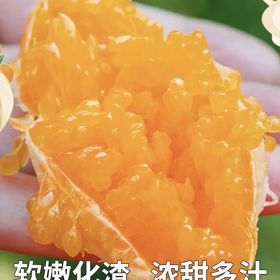 四川春见耙耙柑新鲜现摘清甜爆汁细腻化渣应季水果四川省