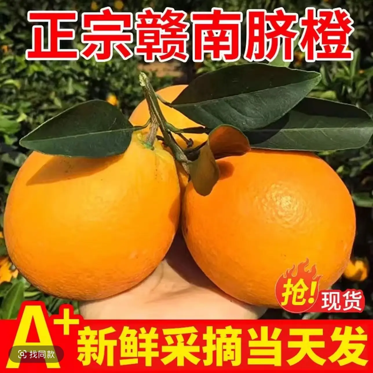 【正宗赣南脐橙】产地直发精品小果玲珑果整箱包邮到家（防伪标）