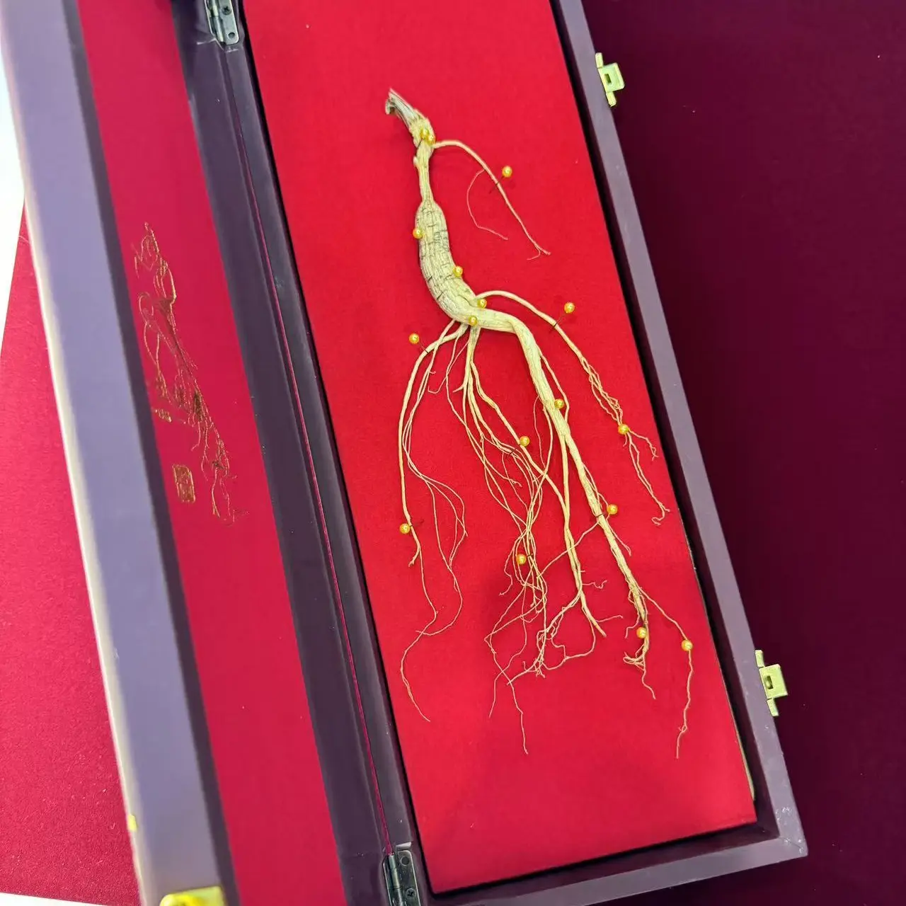 （老婆迷推荐）林下参籽货礼盒送礼佳品一根10克左右