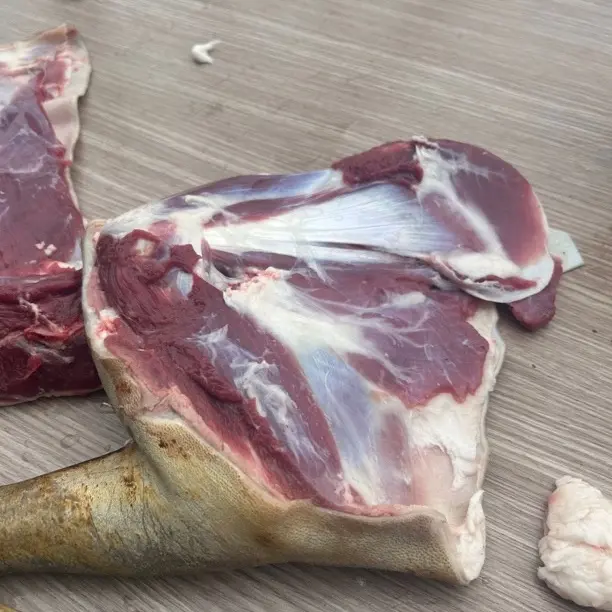 现宰现杀新鲜羊腿