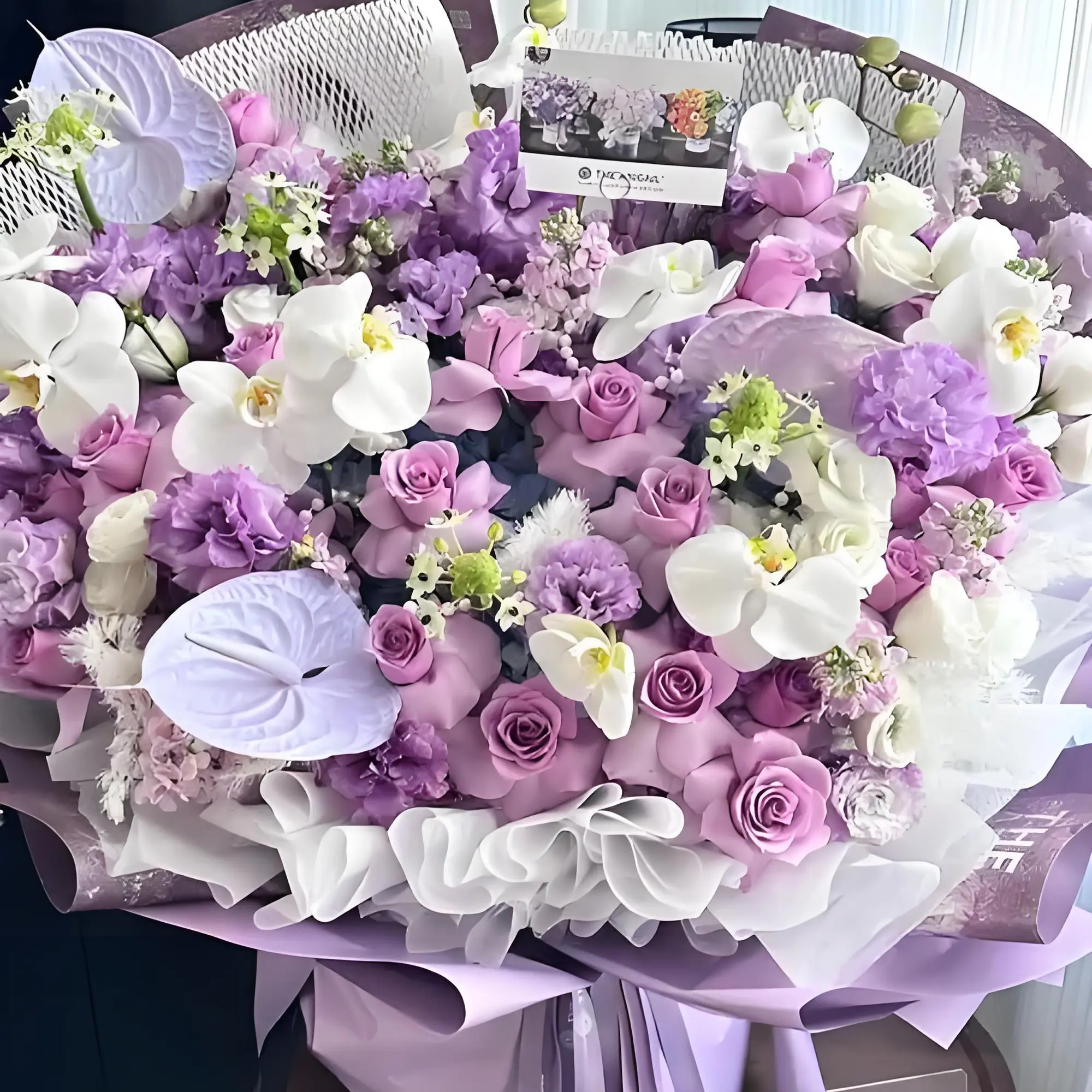 （专属链接499）外套专属链接，非图片商品。