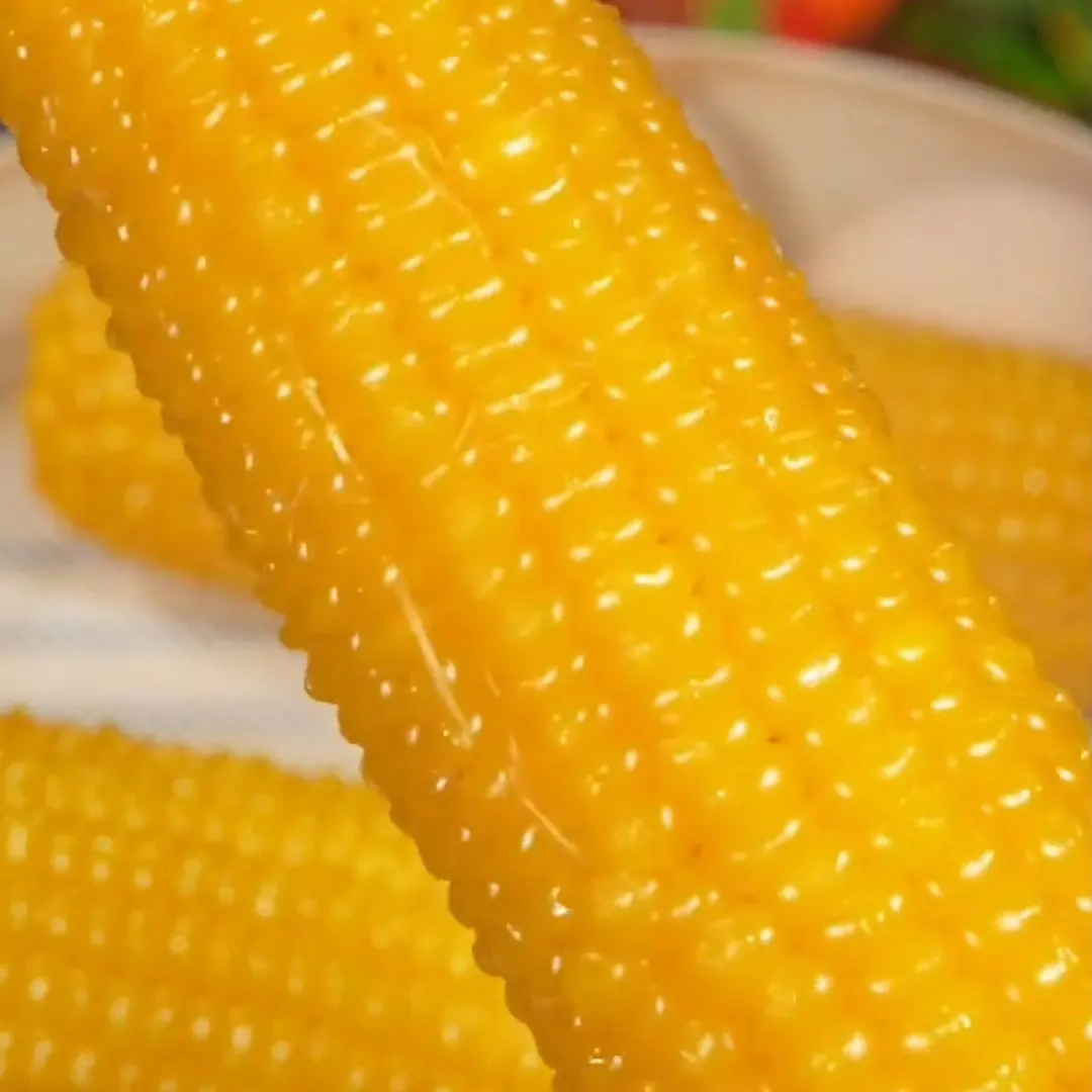 东北头茬黄糯玉米棒铝箔真空包装软糯香甜大棒东北特产新玉米