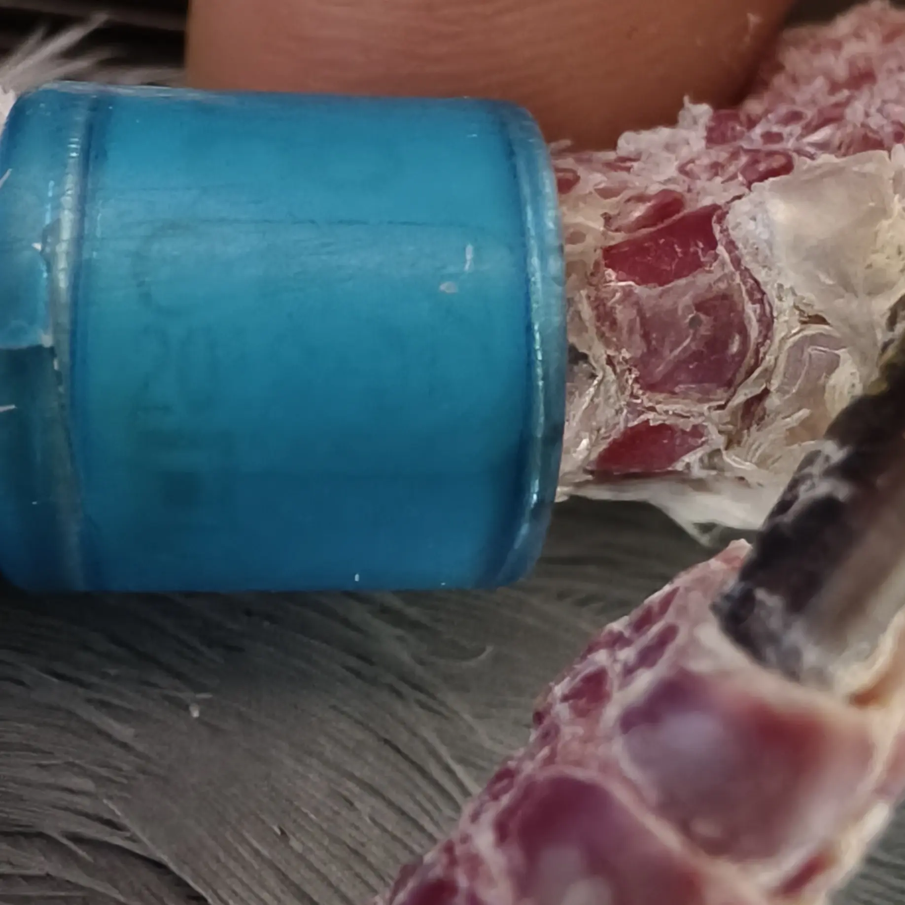 信鸽识别环鸽子脚环彩条环闭口塑胶足环赛鸽观赏鸽种鸽环